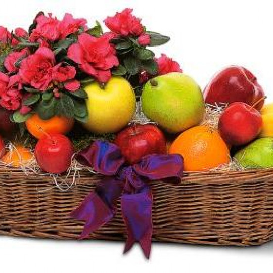 Fruit basket with houseplant (4 kg)
