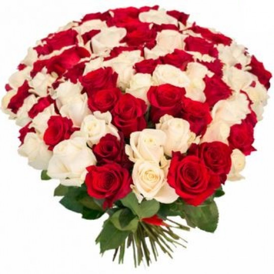 101 red and white rose 40 cm