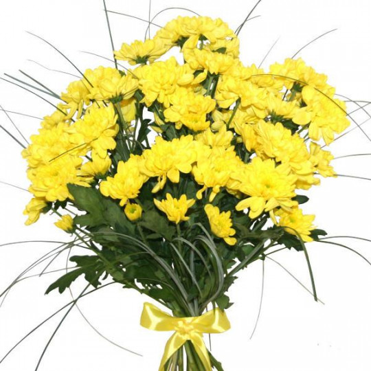 Bouquet of yellow chrysanthemums 7 pcs