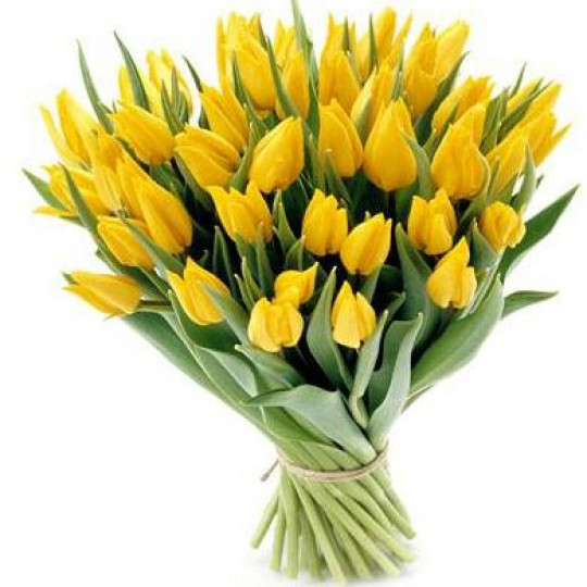 Tulpes (izvēlies skaitu)