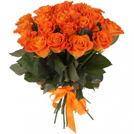 21 oranža roze 50 cm