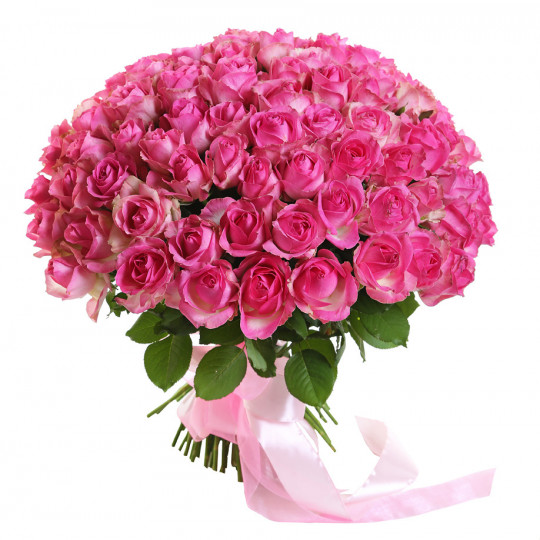 101 pink rose 50 cm