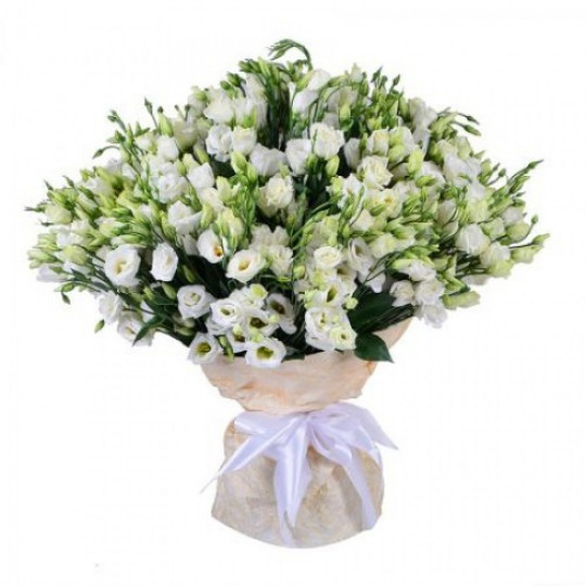 Lisianthus (White)