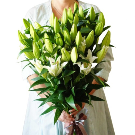 5 White Lilies