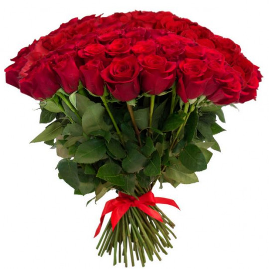 51 sarkana roze 50 cm