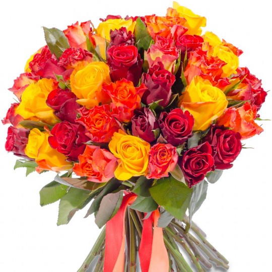 35 sarkanas, dzeltenas un oranžas rozes 40 cm
