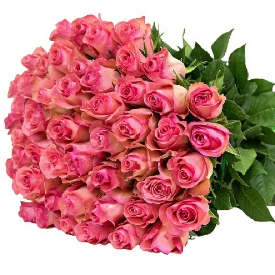 51 Pink rose 50 cm 