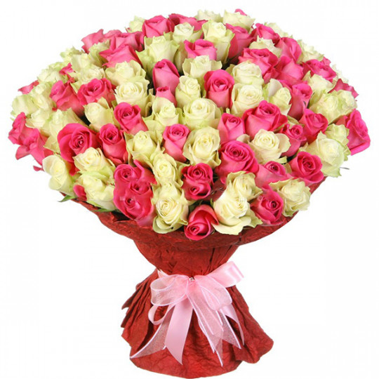 101 balta un rozā roze 50 cm