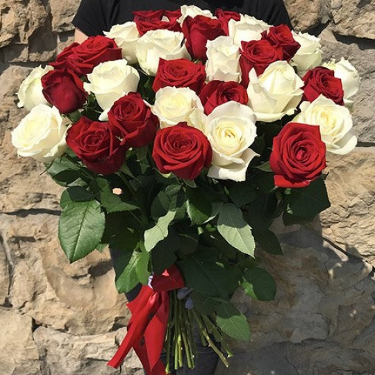 Garas sarkanas un baltas rozes 70 cm. Maināms ziedu daudzums
