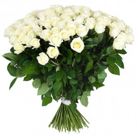 101 white long rose 70 cm