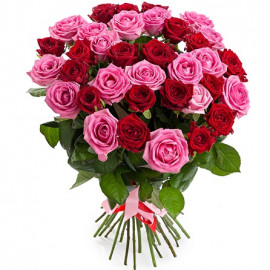 35 sarkanas un rozā rozes 50 cm