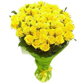 51 yellow rose 50 cm