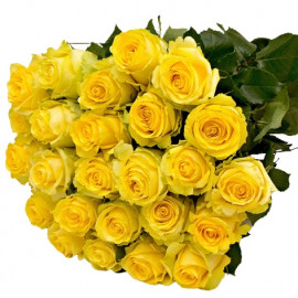 25 dzeltenas rozes 50 cm 