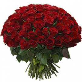 101 red rose 50 cm