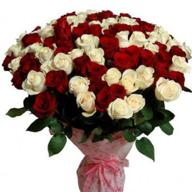 101 red & white rose 50 cm