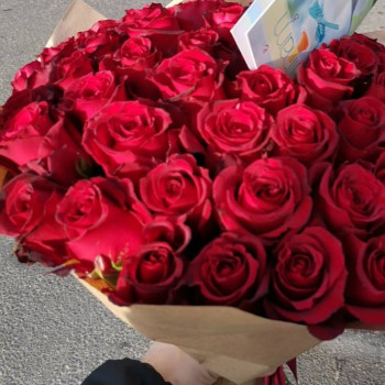 51 sarkana roze 50 cm