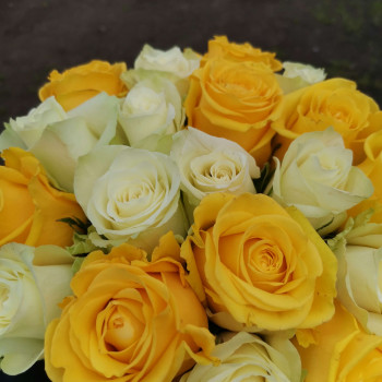 Yellow and white roses 40 cm. Changeable amount of rose in bouquet