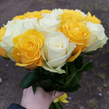 Yellow and white roses 40 cm. Changeable amount of rose in bouquet