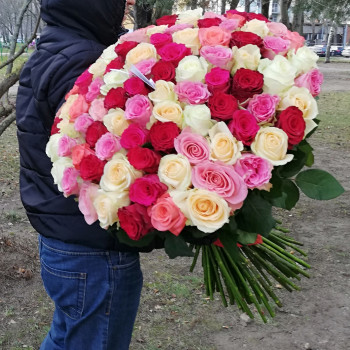 101 длинная разноцветная роза 70 см