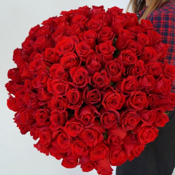 101 sarkana roze 40 cm