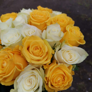 Yellow and white roses 40 cm. Changeable amount of rose in bouquet