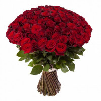 101 long red rose 70 cm