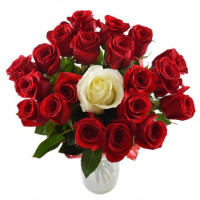 Bouquet of Roses The One 40 cm (select number of roses)