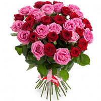 35 sarkanas un rozā rozes 50 cm