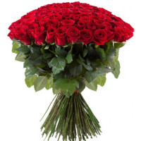 101 Red Rose 60 cm