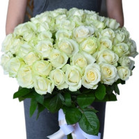 51 white rose 50 cm